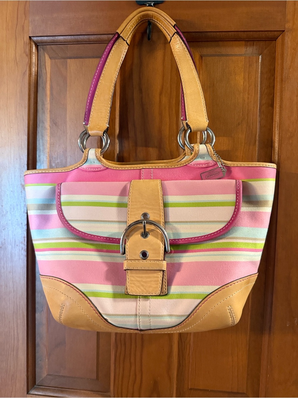Striped Pink Canvas Tote with Tan Leather Trim